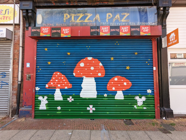 Shutters featuring red mushrooms in front of a starry night sky with two little mice amongst the grass