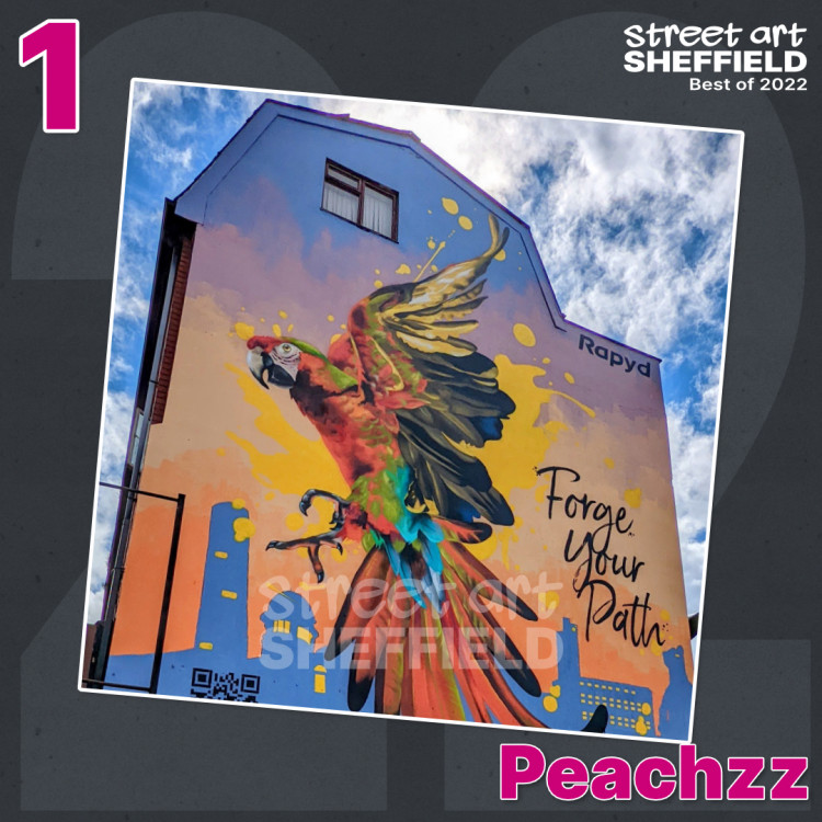 Mural by Peachzz of a parrot in flight