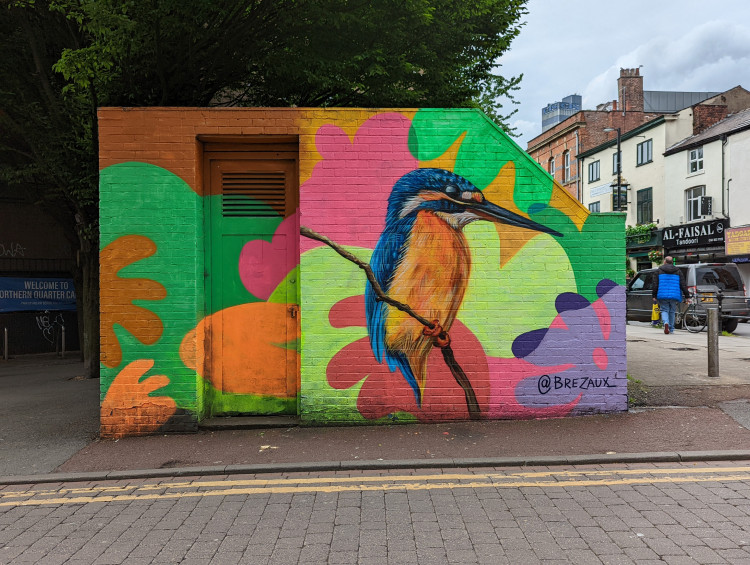 Substation wall mural of a kingfisher with a fluorescent floral background