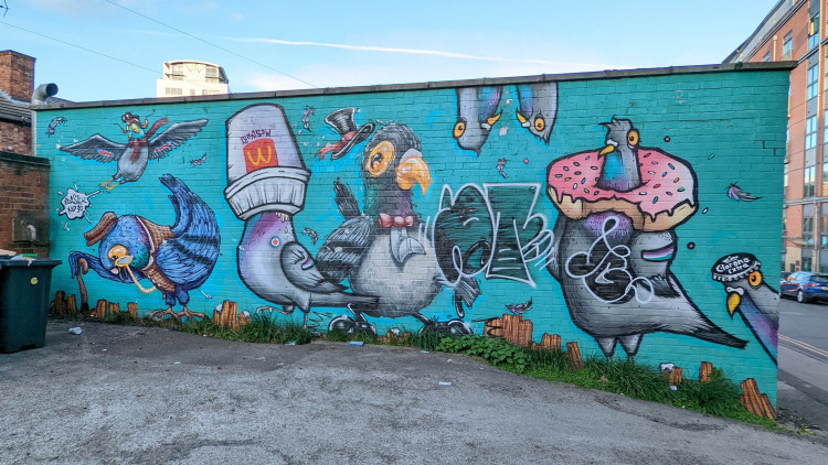 Wall mural with cartoon style pigeons caught up in rubbish