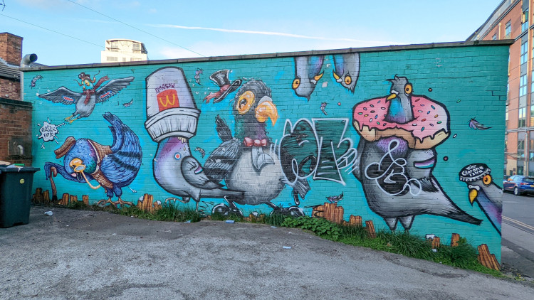 Wall mural with cartoon style pigeons caught up in rubbish