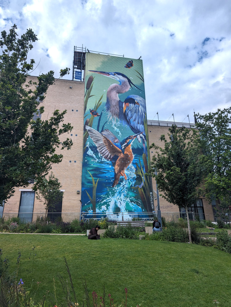 25 metre tall mural of a kingfisher with caught fish and a heron