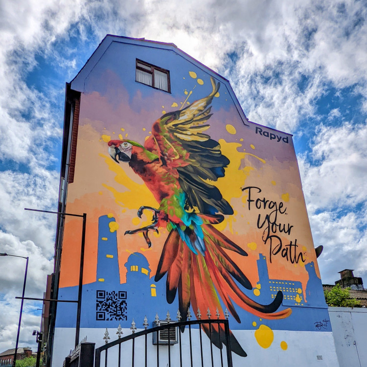 Mural of a parrot in flight