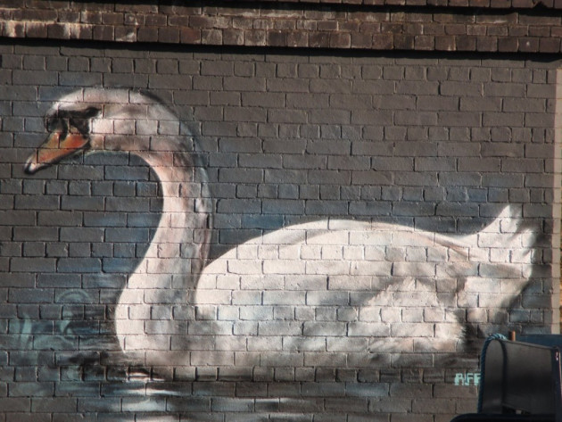 Swan mural