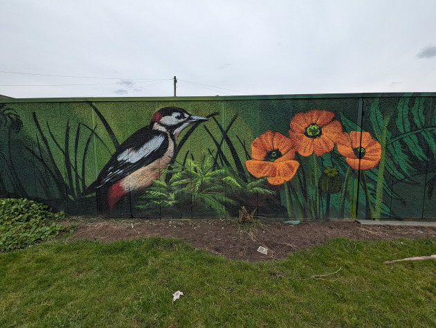 Mural of a woodpeacker and some poppies