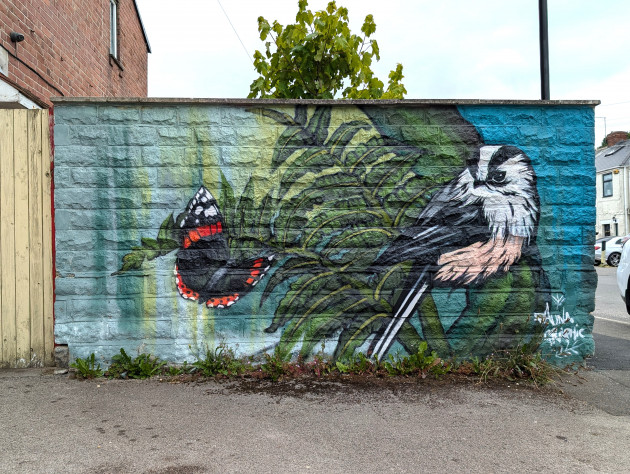 Mural of a  Red admiral butterfly and a long-tailed tit