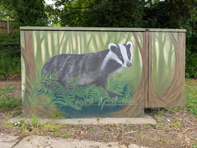 Street cabinet painted with a picture of a badger in woodland