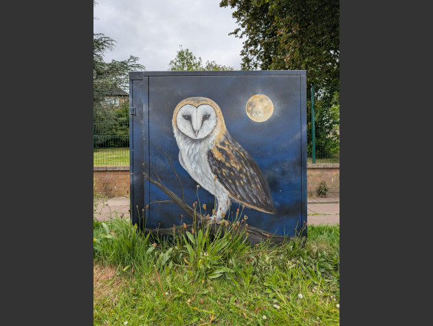 Street cabinet painted with a mural of a barn owl at night with the moon shining in full
