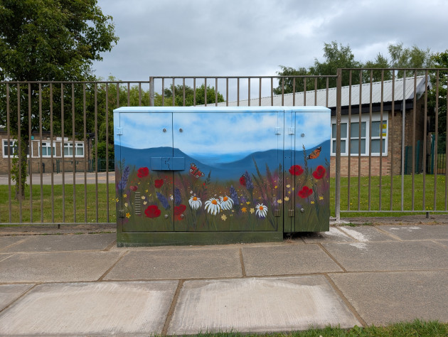 Street cabinet painted with a picture of a green meadow full of flowers and the hills in the background