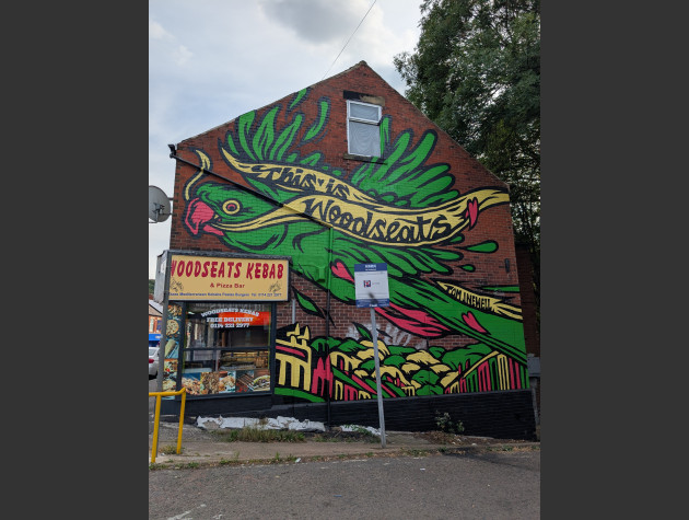 Large wall mural of a green parakeet holding a ribbon in its beak with This is Woodseats written on it