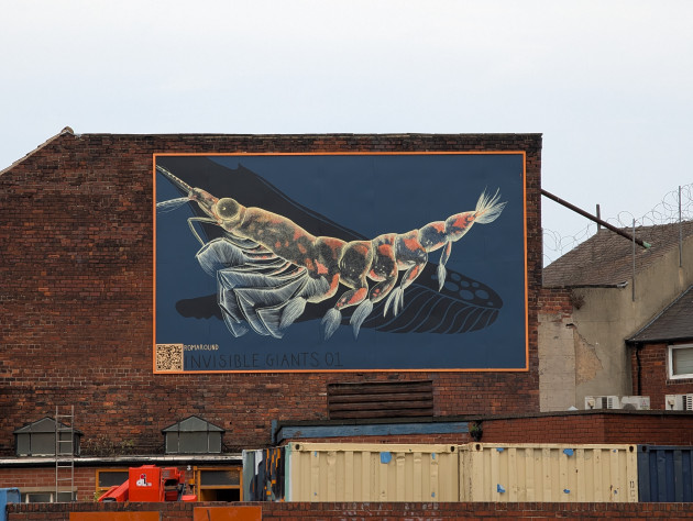 A large-scale mural on a red brick building featuring a highly detailed giant Antarctic Krill with the shadow of a whale in the background, the krill is formed out of thousands of small dots