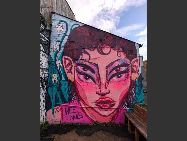A large-scale mural of a stylized female face with four eyes and pointed elf-like ears, painted in vibrant shades of pink and magenta. To the left, a teal vine grows upward, featuring human teeth instead of flowers or leaves.