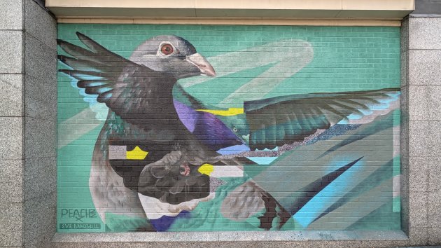 Abstract mural featuring a pigeon, juxtaposed with layers of pigeons in differing poses