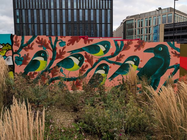 Illustrative mural of a flock of blue tits sat on a branch alongside a crow