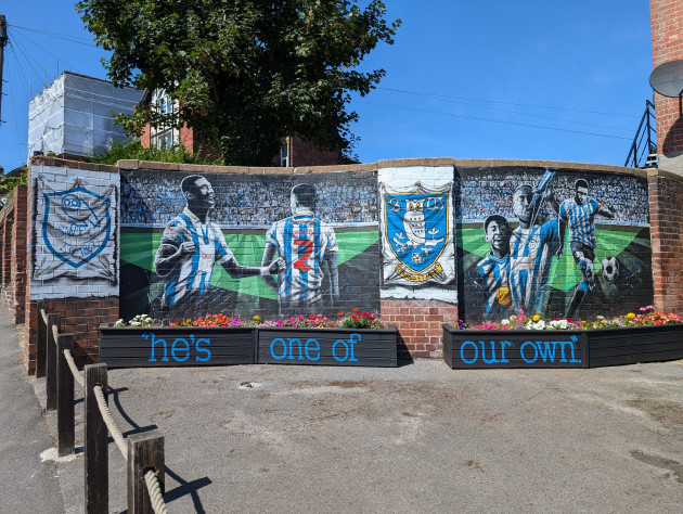 Wall mural featuring Sheffield Wednesday player Liam Palmer