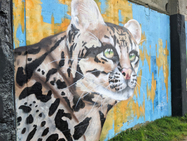 Mural of an ocelot