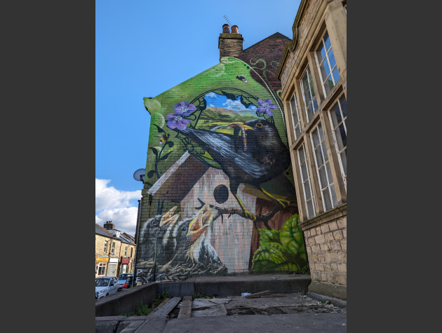 Large wall mural on the side of a terraced house featuring a black bird feeding a worm to three young chicks