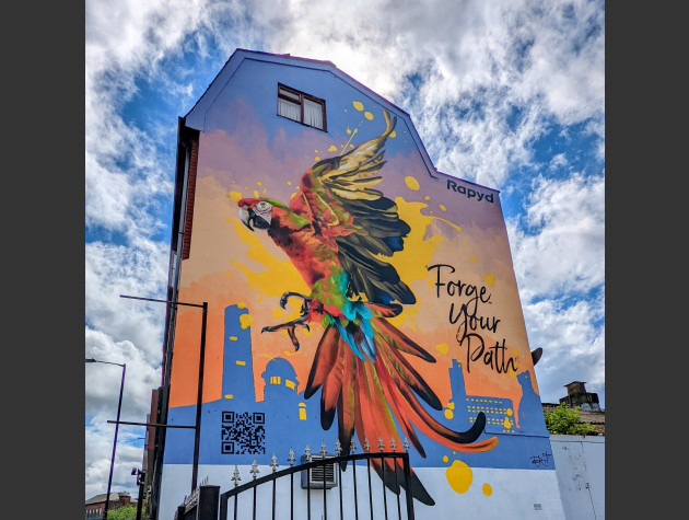 Mural of a parrot in flight