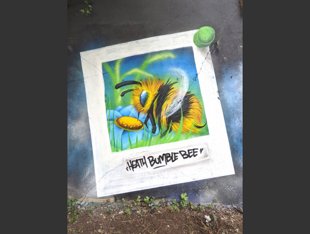 Heath Bumble Bee mural by Trik 9