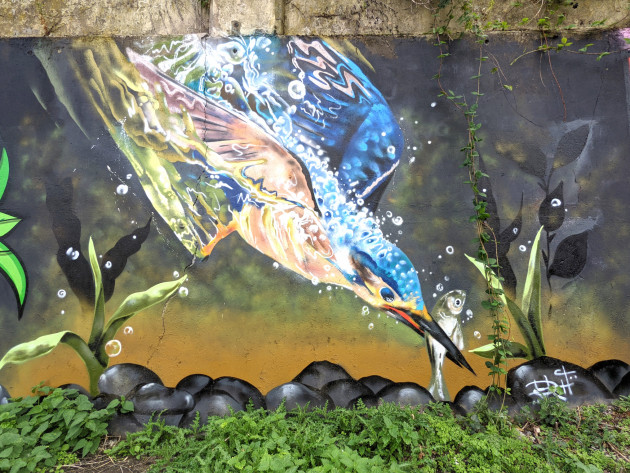 Mural of a kingfisher diving into water to catch a fish