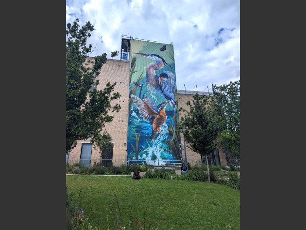 25 metre tall mural of a kingfisher with caught fish and a heron