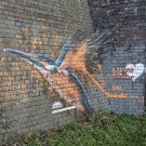 Kingfisher mural