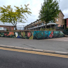 Wide angle photo of Faunagraphic's nature inspired mural