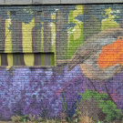 Mural of a robin
