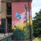 Mural of some hollyhocks and a butterfly