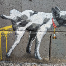 Close-up of a small mural of a French bulldog with leg cocked, taking a piss, around its neck hangs a small traffic cone