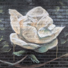 Close up of the mural showing a white rose