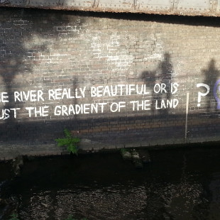 Is the River Really Beautiful?