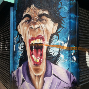 Mick Jagger by Trik9