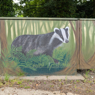 Badger, Emma Barnsley