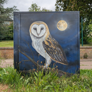Owl, Emma Barnsley