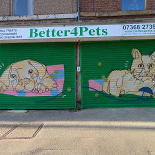 Better4Pets