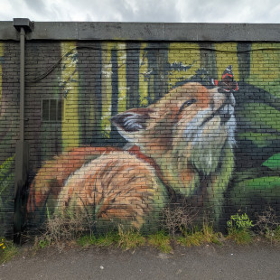 Faunagraphic, Jordanthorpe Centre