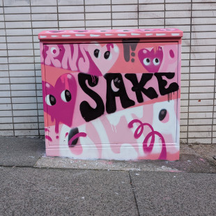 R U OK, Cambridge Street