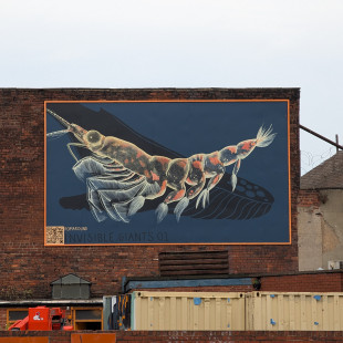 Romaround, Lick of Paint '25