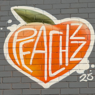 Peachzz, Lick of Paint '25