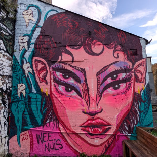 Wee Nuls, Lick of Paint '25