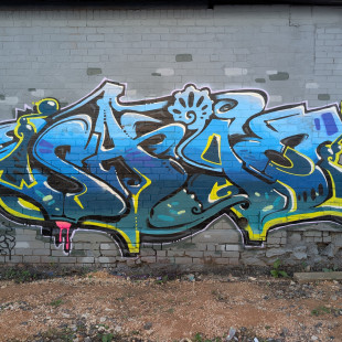 Sage, Lick of Paint '25