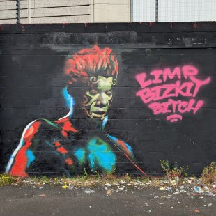 Limp Bizkit Bitch