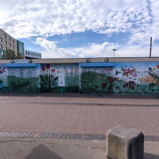 Urban Plant Life