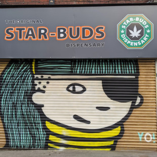 Kid Acne, Star-Buds