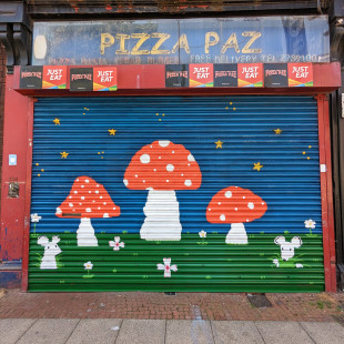 Sian Ellis, Pizza Paz