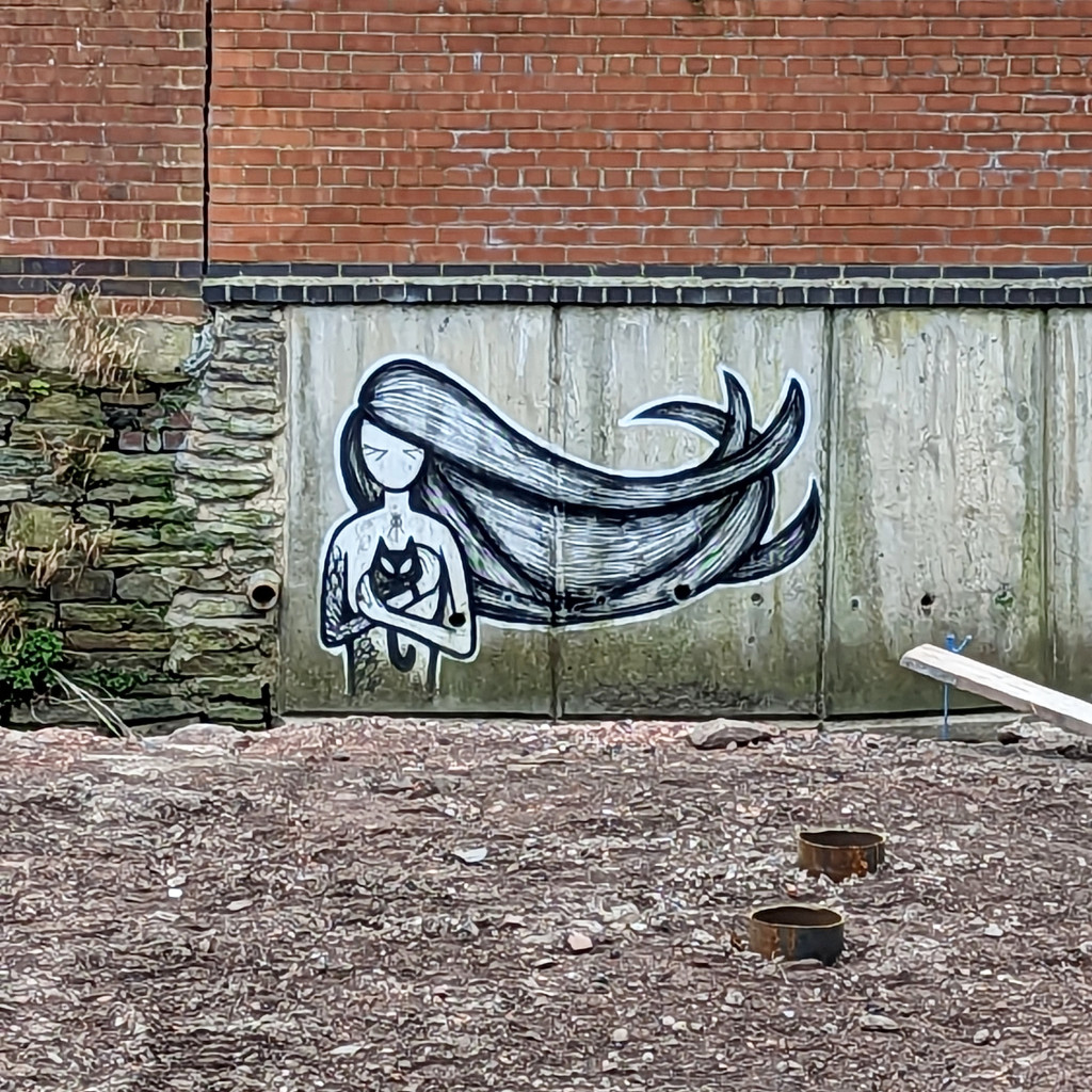 Coloquix, River Sheaf | Street Art Sheffield