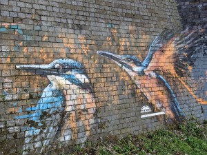 Kingfishers mural